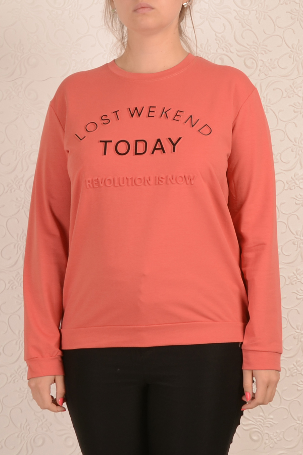 Свитшот женский 1382