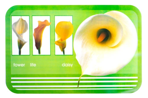 Набор салфеток 3058