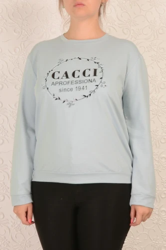 Свитшот женский 1389