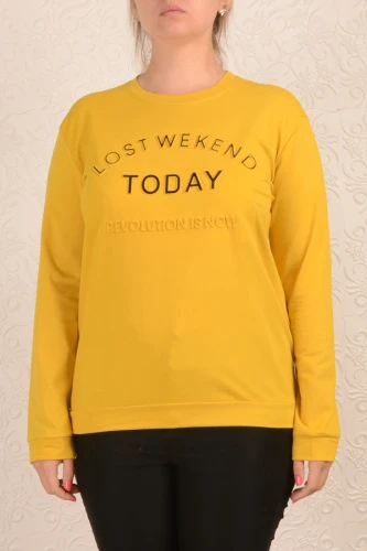 Свитшот женский 1382